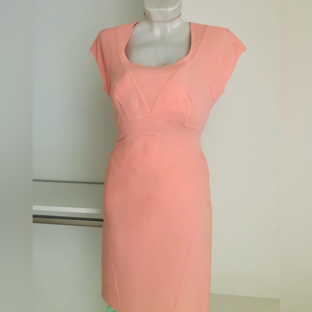 New! Zac Posen Peach Cap-Sleeve Sculpted Cocktail Dress. Size 4